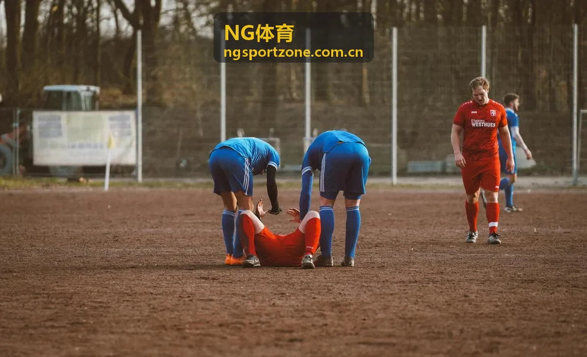 NG体育社区交流推荐