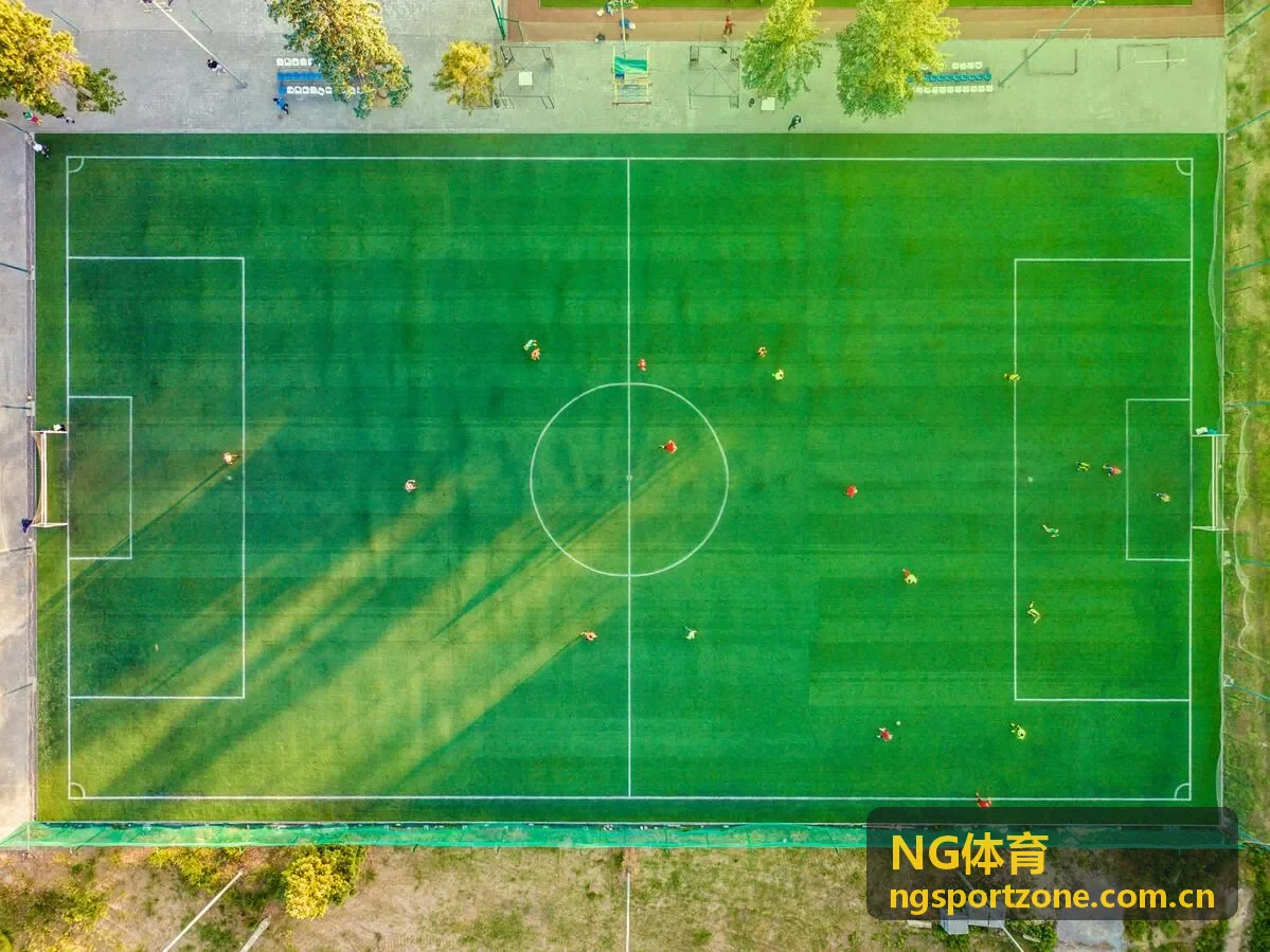 NG体育精选专题
